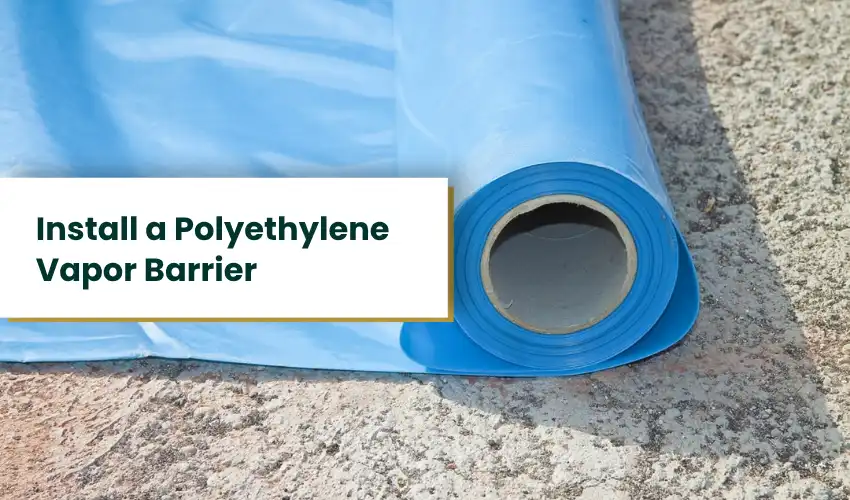 Install a Polyethylene Vapor Barrier
