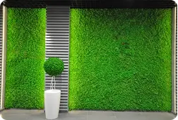 wall artificial grass in Dubai