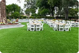 pet-friendly artificial grass in Dubai