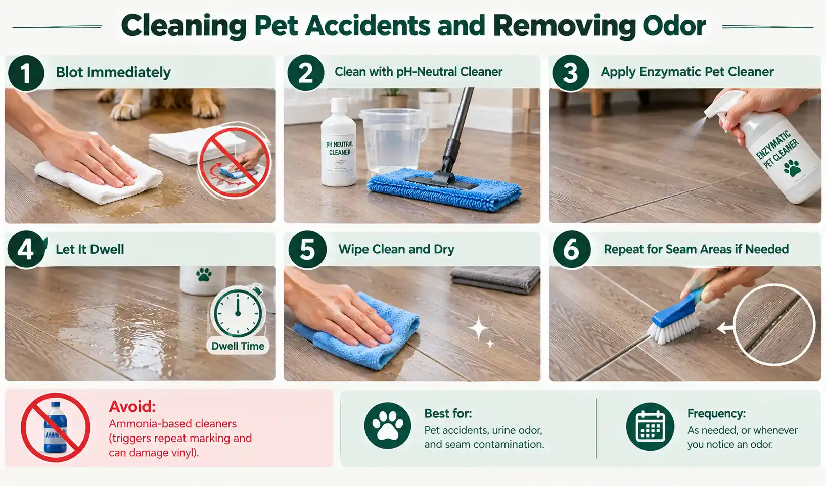 Cleaning Pet Accidents and Removing Odor