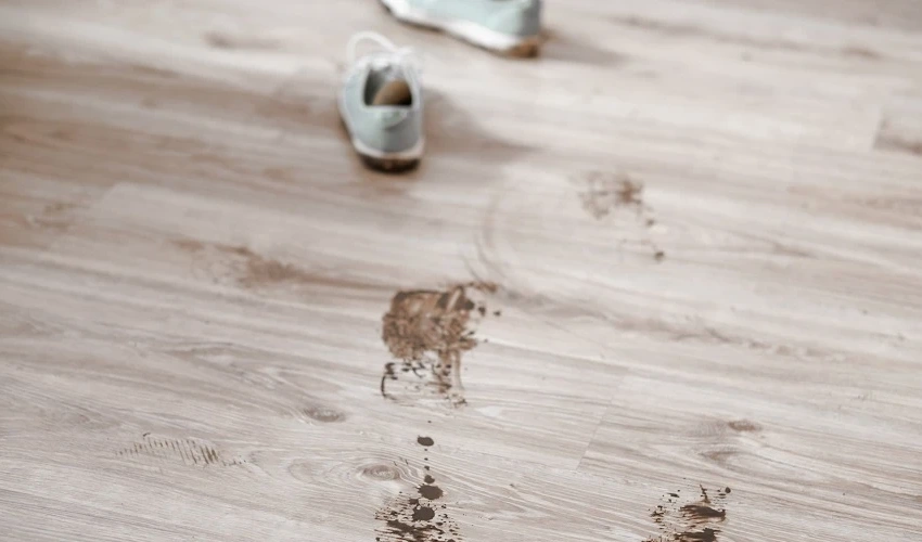 Remove Dust and Loose Dirt