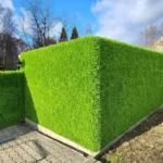 wall artificial grass Dubai