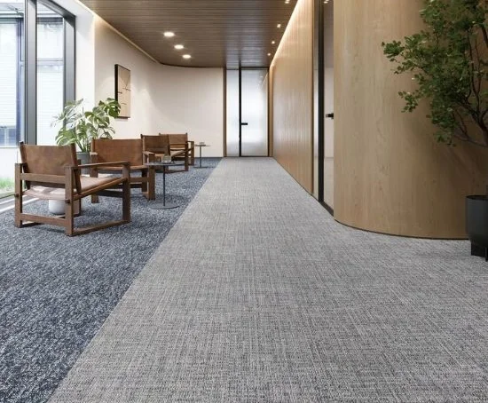 Retail Shops & Showrooms carpets
