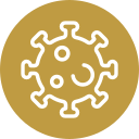 virus